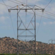 Image for article titled How Bird Poop Changed the Design of Southern California's Power Grid